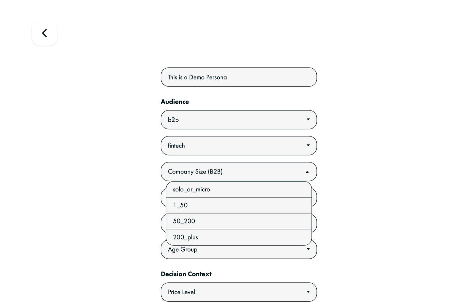 P/26 audience builder defining a B2B fintech buyer persona