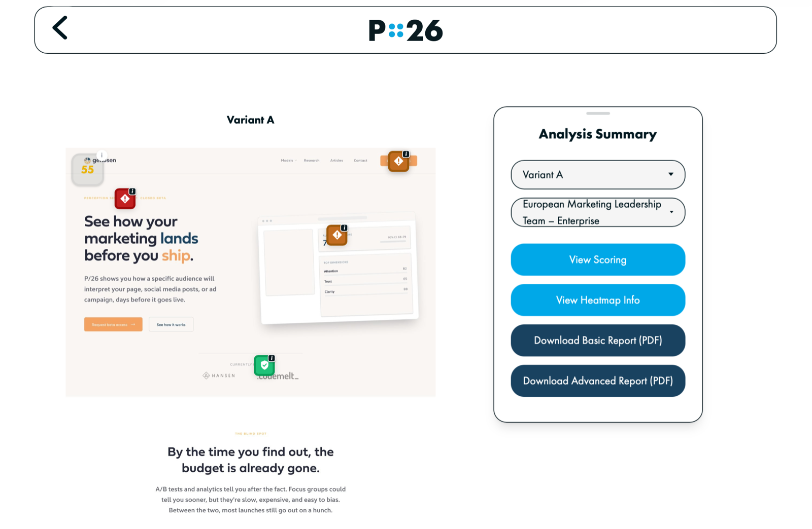 P/26 perception dashboard analysing a marketing landing page